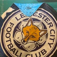 Load image into Gallery viewer, Personalised Snuggle Blanket, Embroidered Baby Blanket