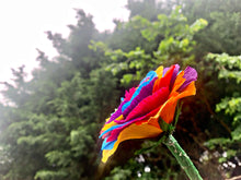 Load image into Gallery viewer, Rainbow Rose