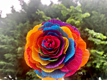 Load image into Gallery viewer, Rainbow Rose