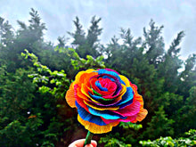 Load image into Gallery viewer, Rainbow Rose