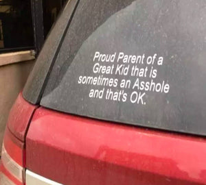 Proud parent of a great kid that is sometimes an asshole and that's ok! Decal
