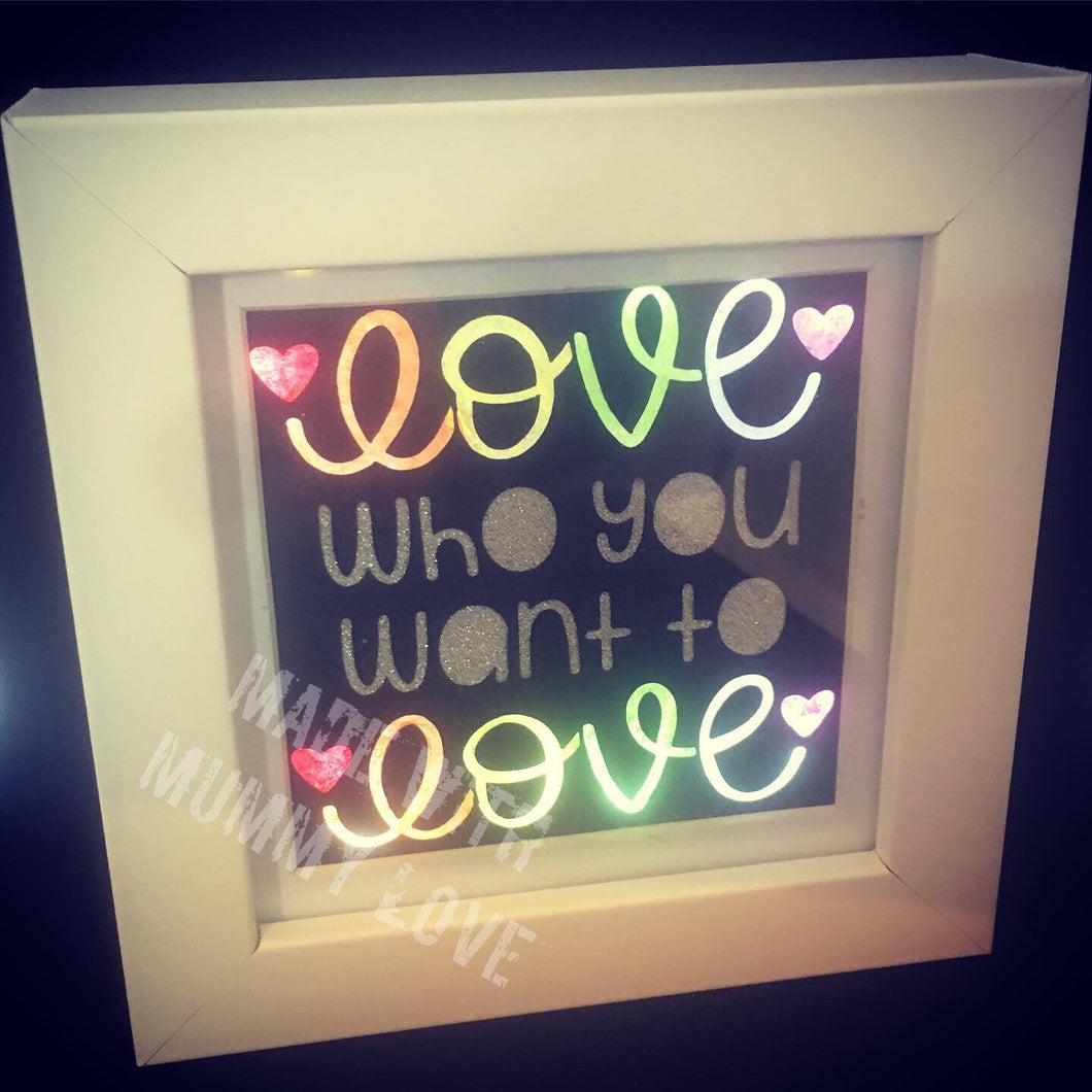 Love who you want to love, light shadow box, wall decor, shelf decor, light up decor
